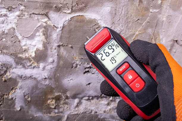 Best Industrial Mold Remediation in Rockport, IN